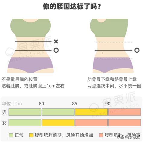 男眉型種類 女性腰圍標準